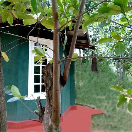 Bed and Breakfast Green Lantern à Ella Extérieur photo